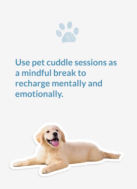 Schedule daily playtime with your pet to boost your mood and keep stress at bay.