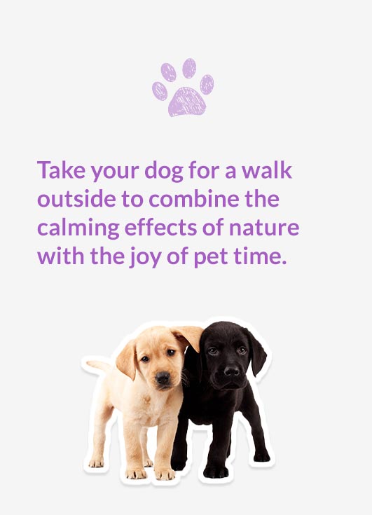 Schedule daily playtime with your pet to boost your mood and keep stress at bay.
